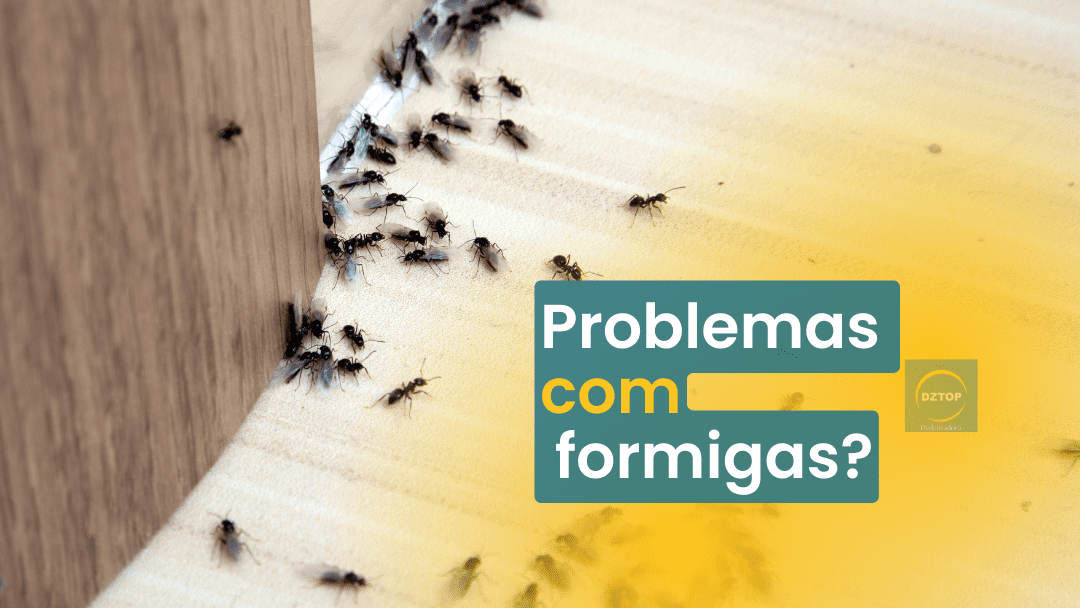 Dedetizadora de Formigas em Brasília