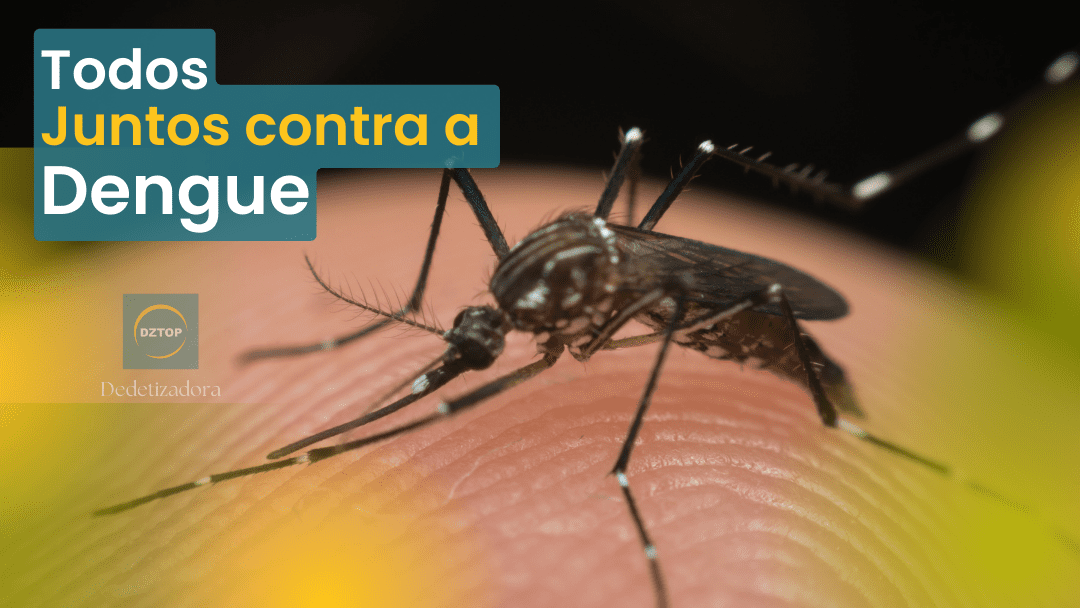 Dengue em Brasília