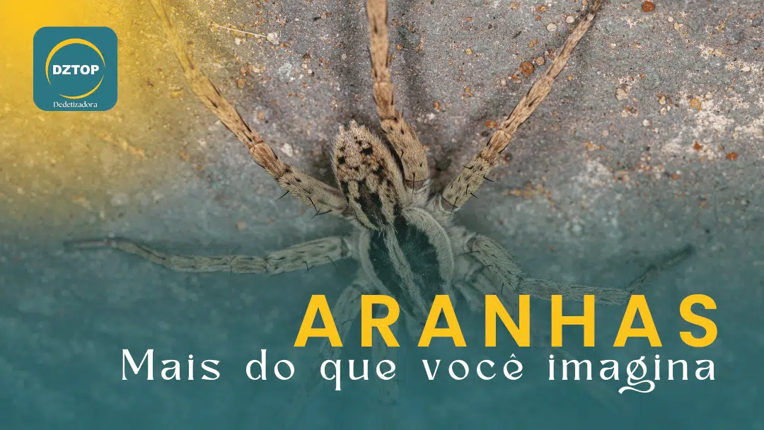 Aranhas: mais do que você imagina. Uma aranha marrom em uma parede cinza. Logo da DZTOP Dedetizadora em verde, amarelo e branco.